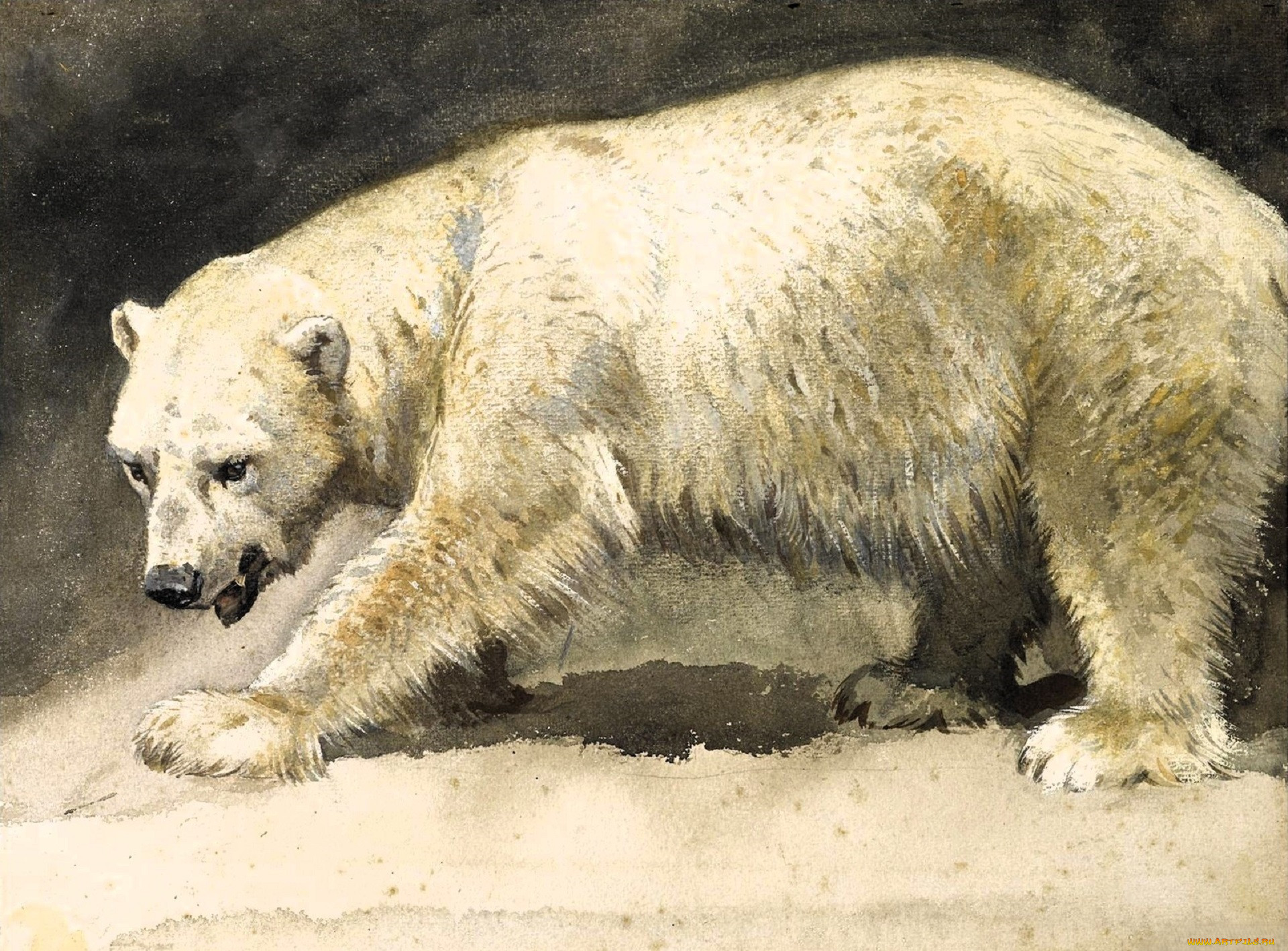 , archibald thorburn, , 